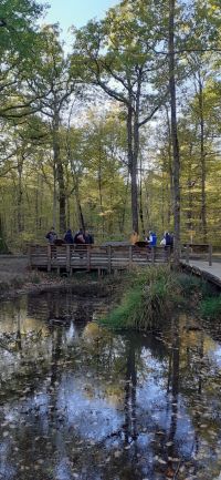 Balade dans la Forêt de la Comte