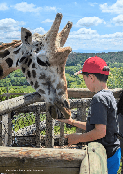 Parc animalier d&rsquo;Auvergne &#8211; Trait d&rsquo;union Auvergne Handis