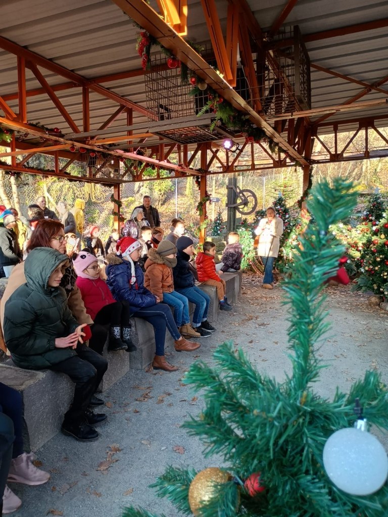 WhatsApp Image 2025-12-17 at 12.27.48