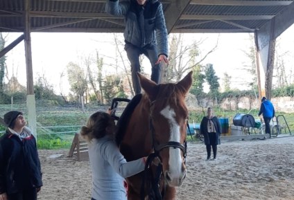 196a4d16-c6c6-4086-a5fe-50fc5ec44ea6